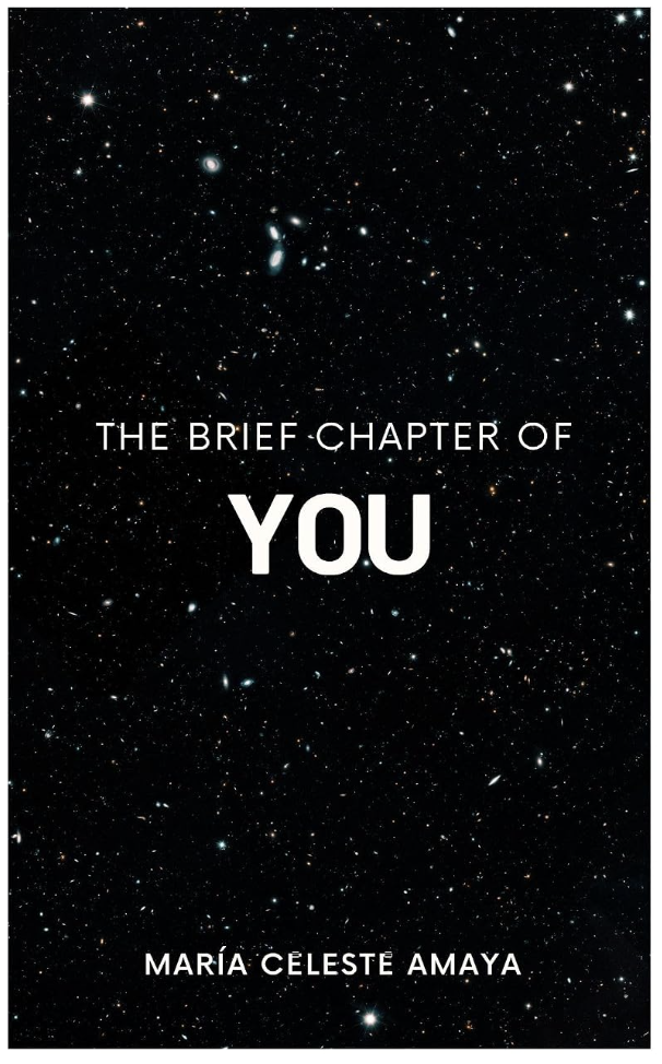 Portada de The Brief Chapter of You